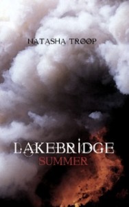 Book cover of Lakebridge: Summer